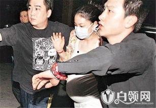 狗仔爆料怀孕视频播放全集,怀孕视频全集幕后真相大揭秘